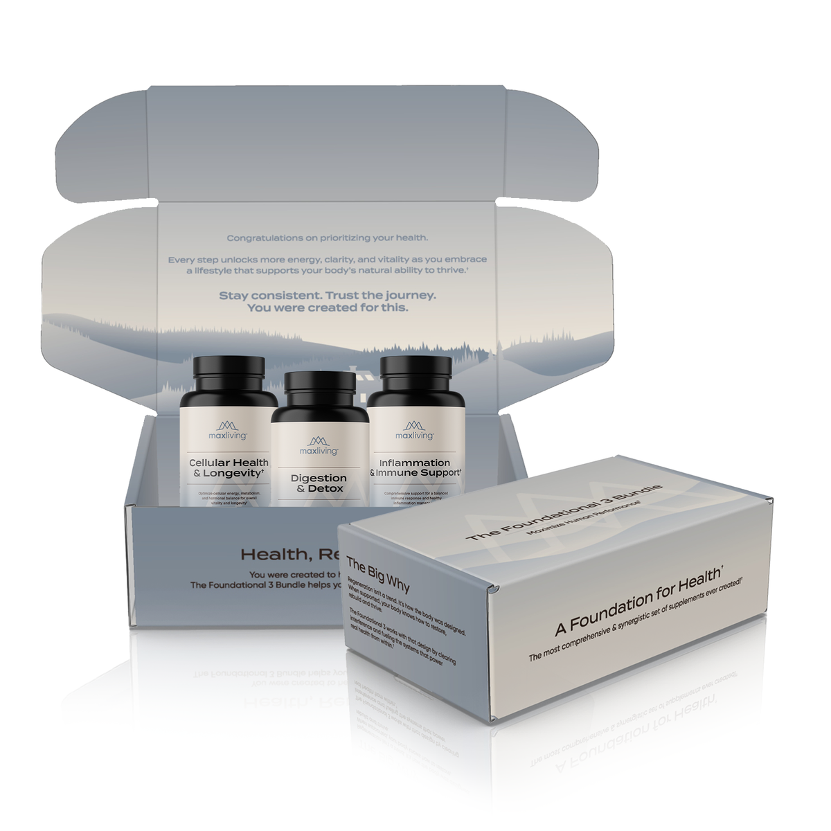 The Foundational 3 Bundle Boxed – MaxLiving Client Store