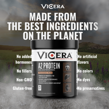Load image into Gallery viewer, ViCera - A2 PROTEIN | CHOCOLATE MILK