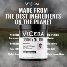 Load image into Gallery viewer, ViCera - CREATINE X COLLAGEN | MIXED BERRY