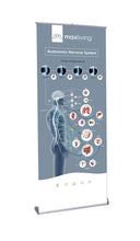 Load image into Gallery viewer, Autonomic Nervous System Banner