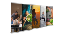 Load image into Gallery viewer, MaxLiving 5 Essentials Banners (Colorful Set of 5)