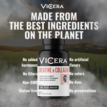 Load image into Gallery viewer, ViCera - CREATINE X COLLAGEN