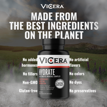 Load image into Gallery viewer, ViCera - HYDRATE