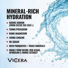 Load image into Gallery viewer, ViCera - HYDRATE | LIMEADE