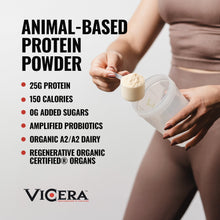 Load image into Gallery viewer, ViCera - A2 PROTEIN | CHOCOLATE MILK