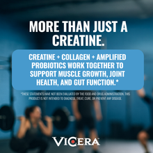 Load image into Gallery viewer, ViCera - CREATINE X COLLAGEN | UNFLAVORED