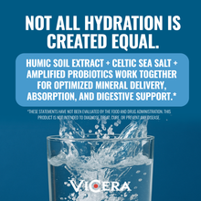 Load image into Gallery viewer, ViCera - HYDRATE