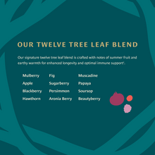 Load image into Gallery viewer, Healing Leaves: Longevity Blend Capsules- 90ct