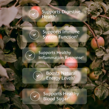 Load image into Gallery viewer, Healing Leaves: Longevity Blend Loose Leaf Tea