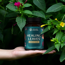 Load image into Gallery viewer, Healing Leaves: Longevity Blend Capsules- 90ct